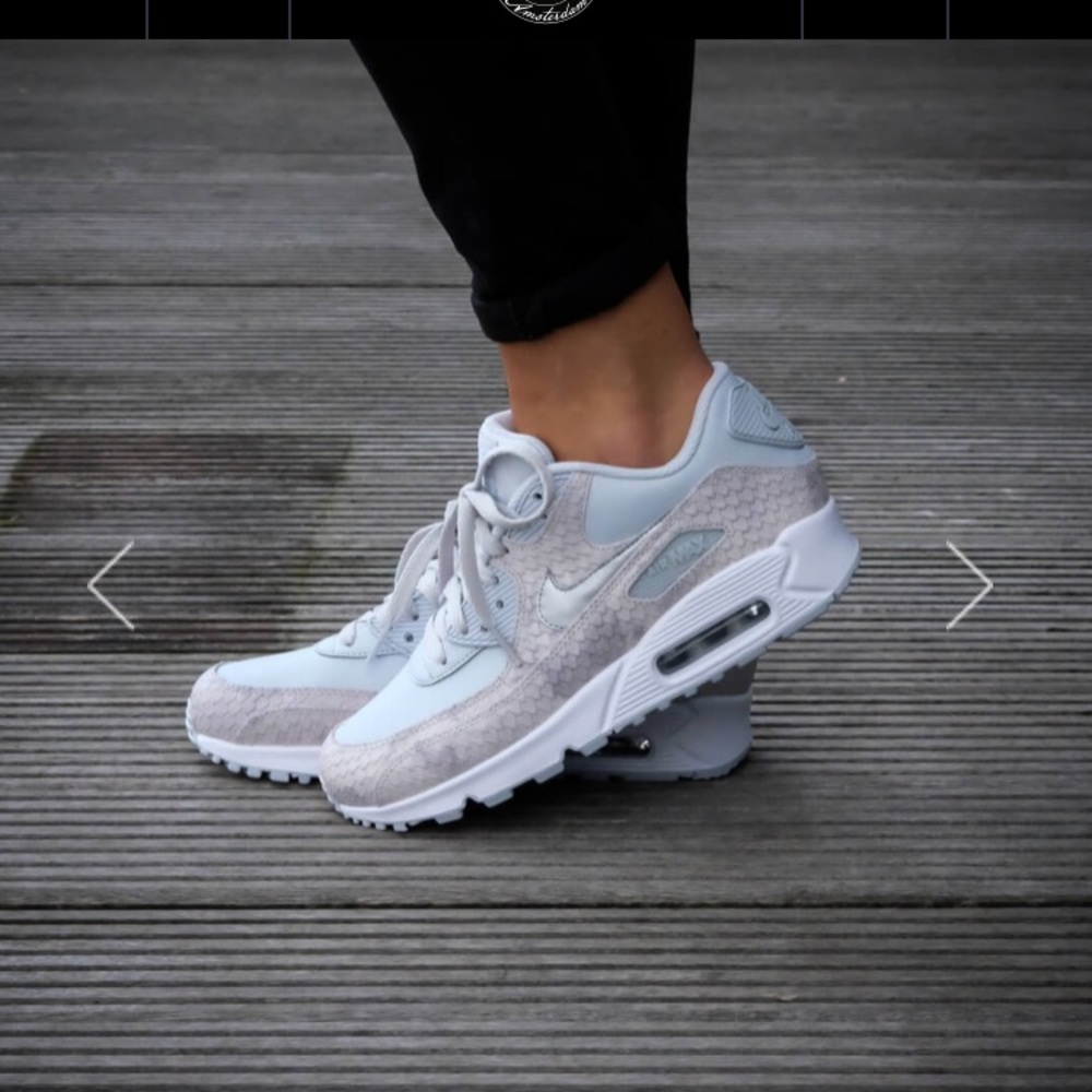 Nike Air Max - Premium Platinum